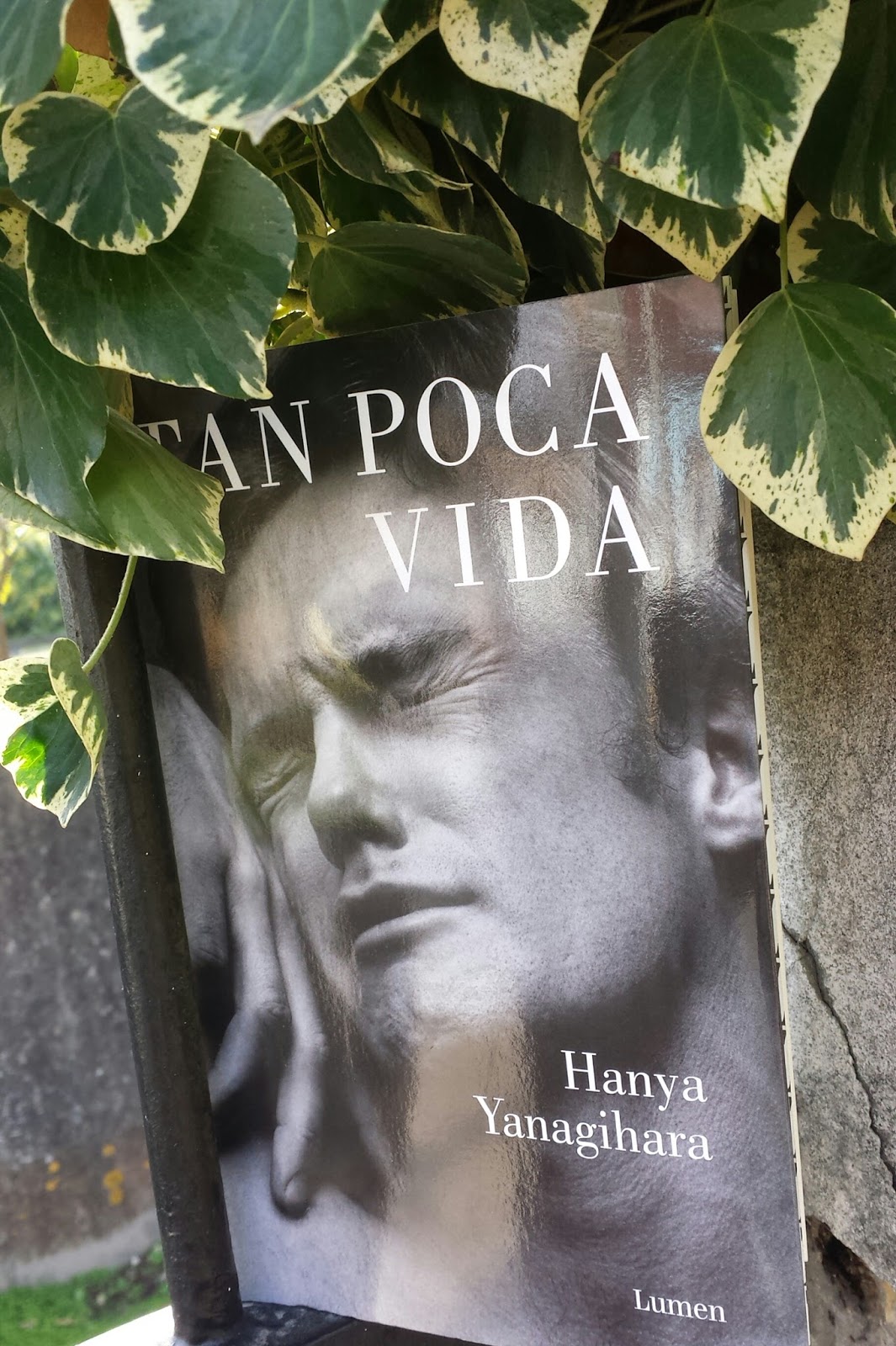 Quién es Hanya Yanagihara? 'Tan poca vida', la durísima novela que ha  hechizado a EE.UU
