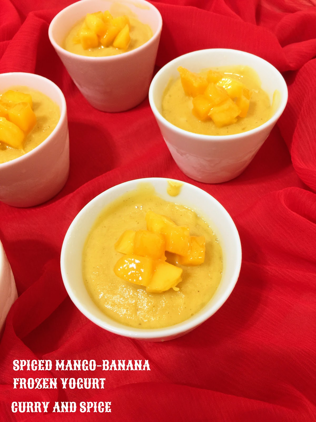 CURRY AND SPICE SPICED MANGOBANANA FROZEN YOGURT