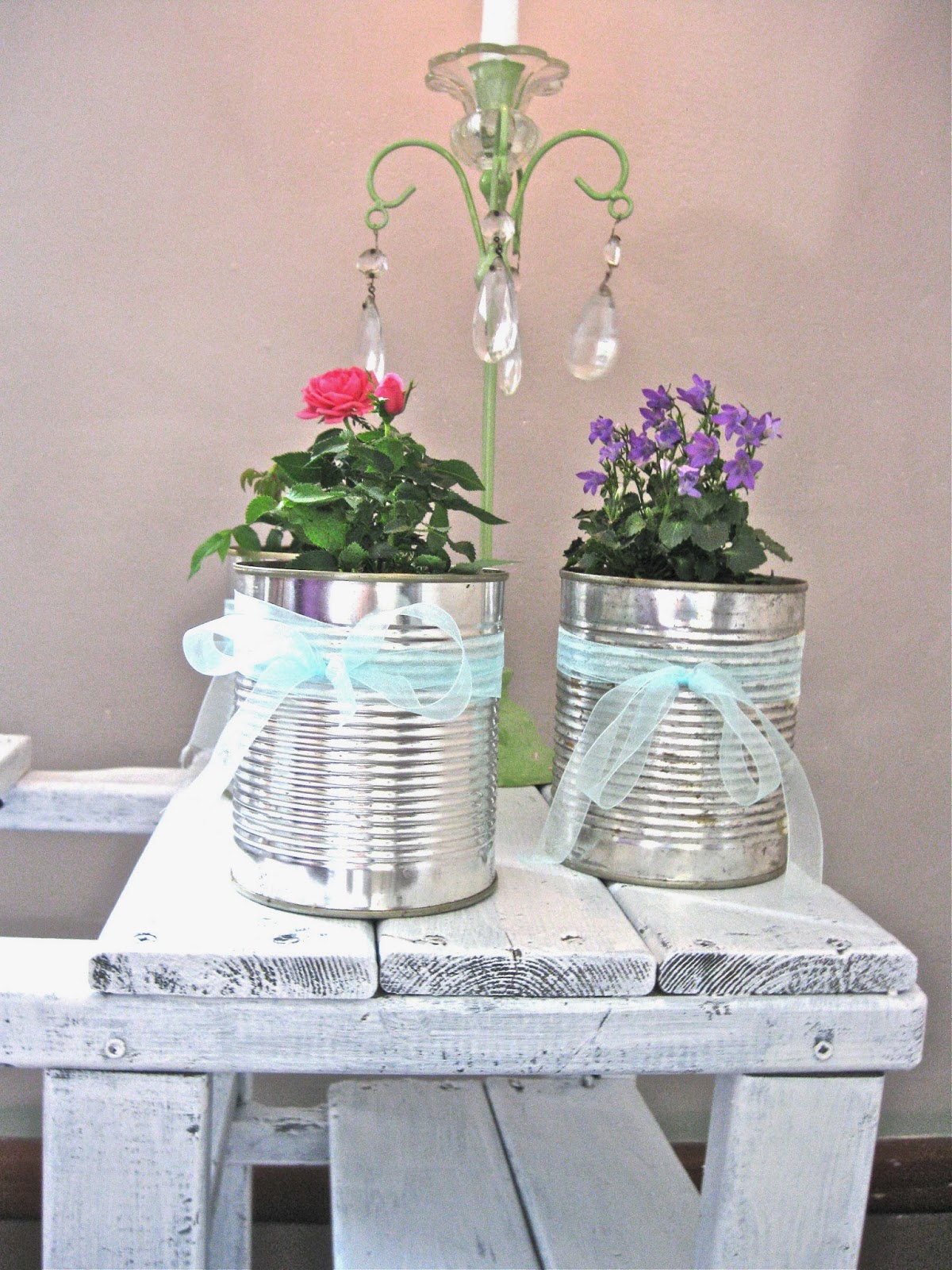 Sette Design Tin Can Planters