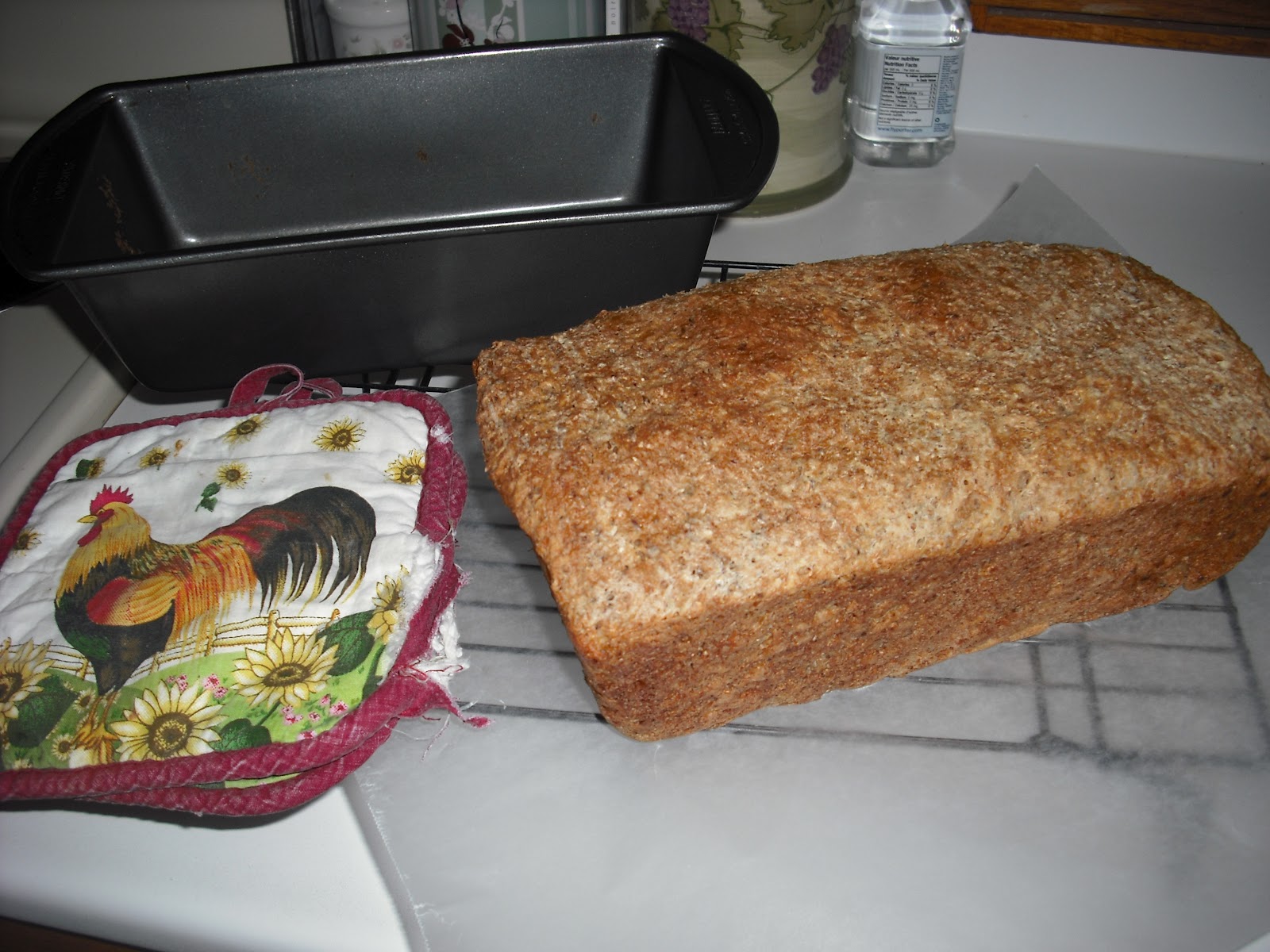 Bexy's Baking Blog Whole Wheat Yogurt Bread