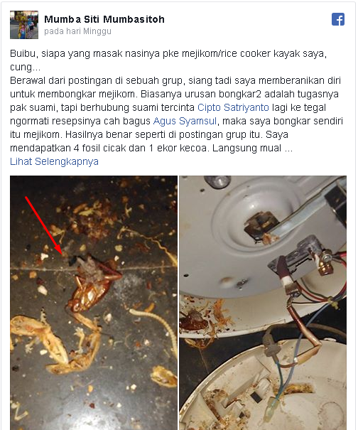 Pantas Saja Meski Beras Dicuci Bersih Masak Nasi Pakai Magic Com Jadi Aromanya Tak Sedap, Setelah Dibongkar Ternyata Ada Ini! Pantas Saja Meski Beras Dicuci Bersih Masak Nasi Pakai Magic Com Jadi Aromanya Tak Sedap, Setelah Dibongkar Ternyata Ada Ini!