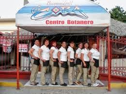 COMO INICIAR NEGOCIO DE BAR BOTANERO COMO INICIAR NEGOCIO DE BAR BOTANERO