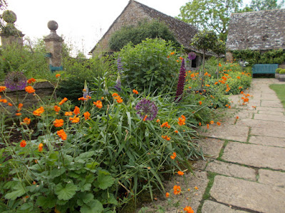 Purple and orange flower combinations Snowshill Manor Green Fingered Blog