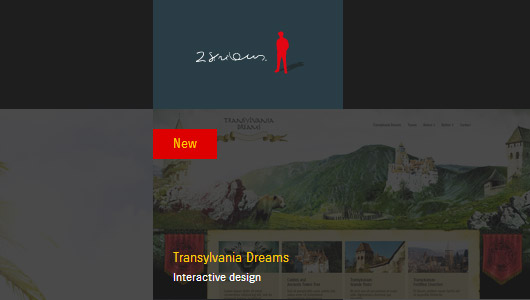 graphic designer portfolio websites