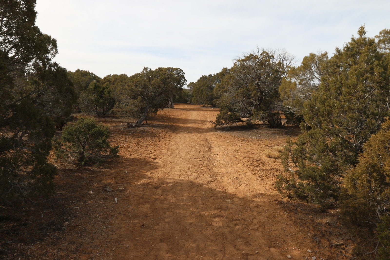 Buzzard Gulch Trails (9)