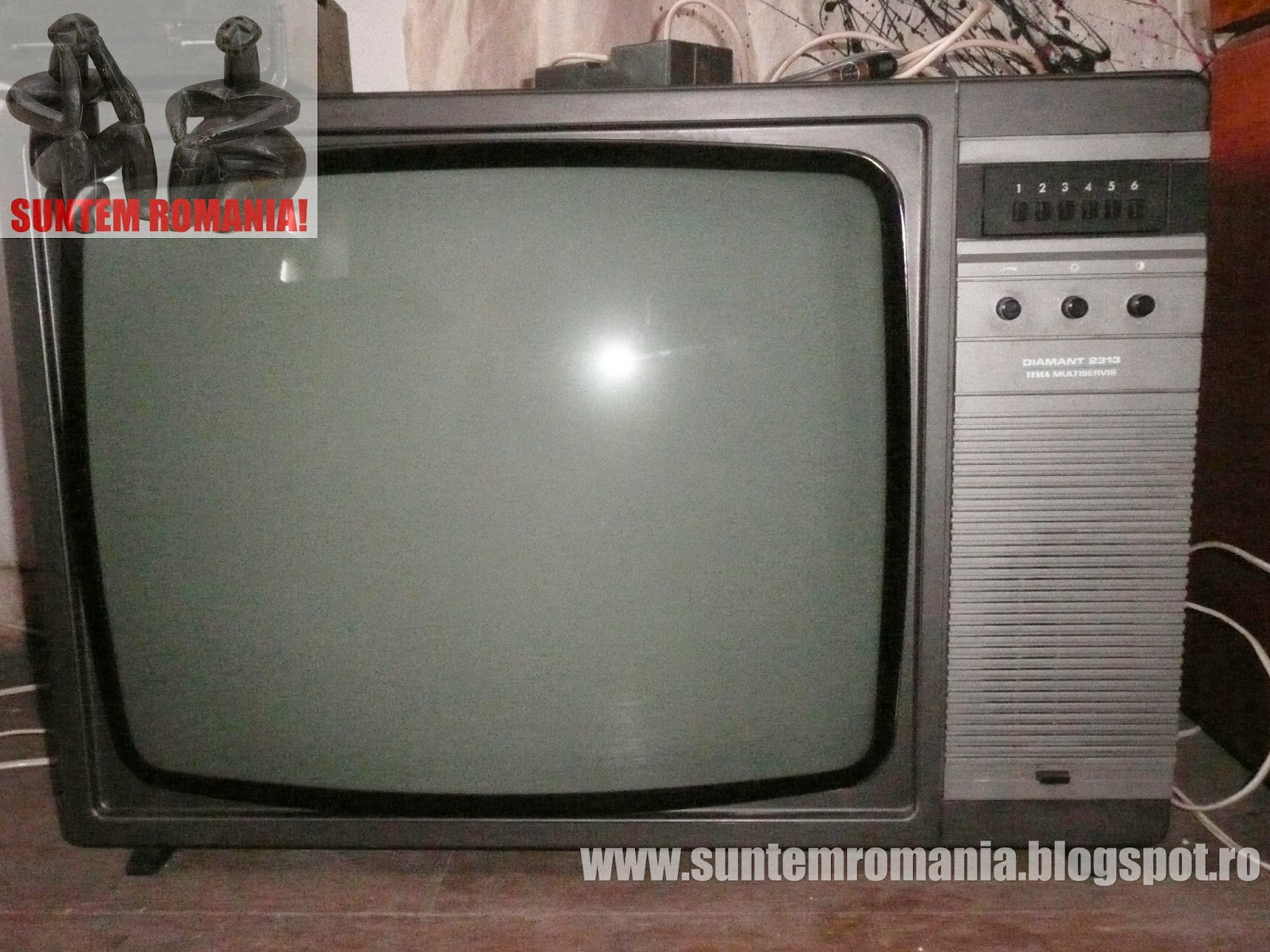 Suntem Romania! (Revista-magazin independenta): 504.Armata din umbra a