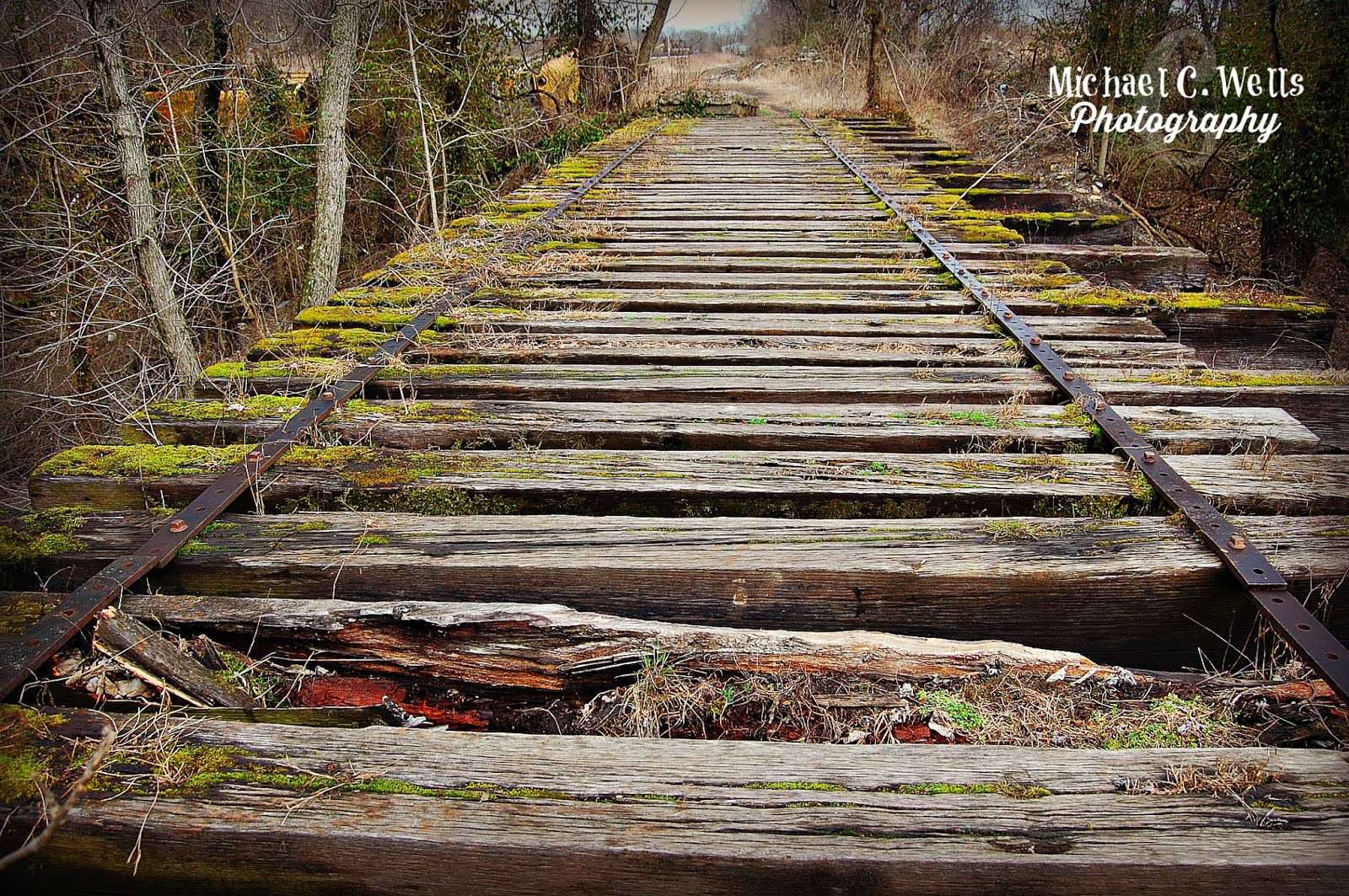 Michael C. Wells Photography Abandoned Silver Creek Railroad Bridge