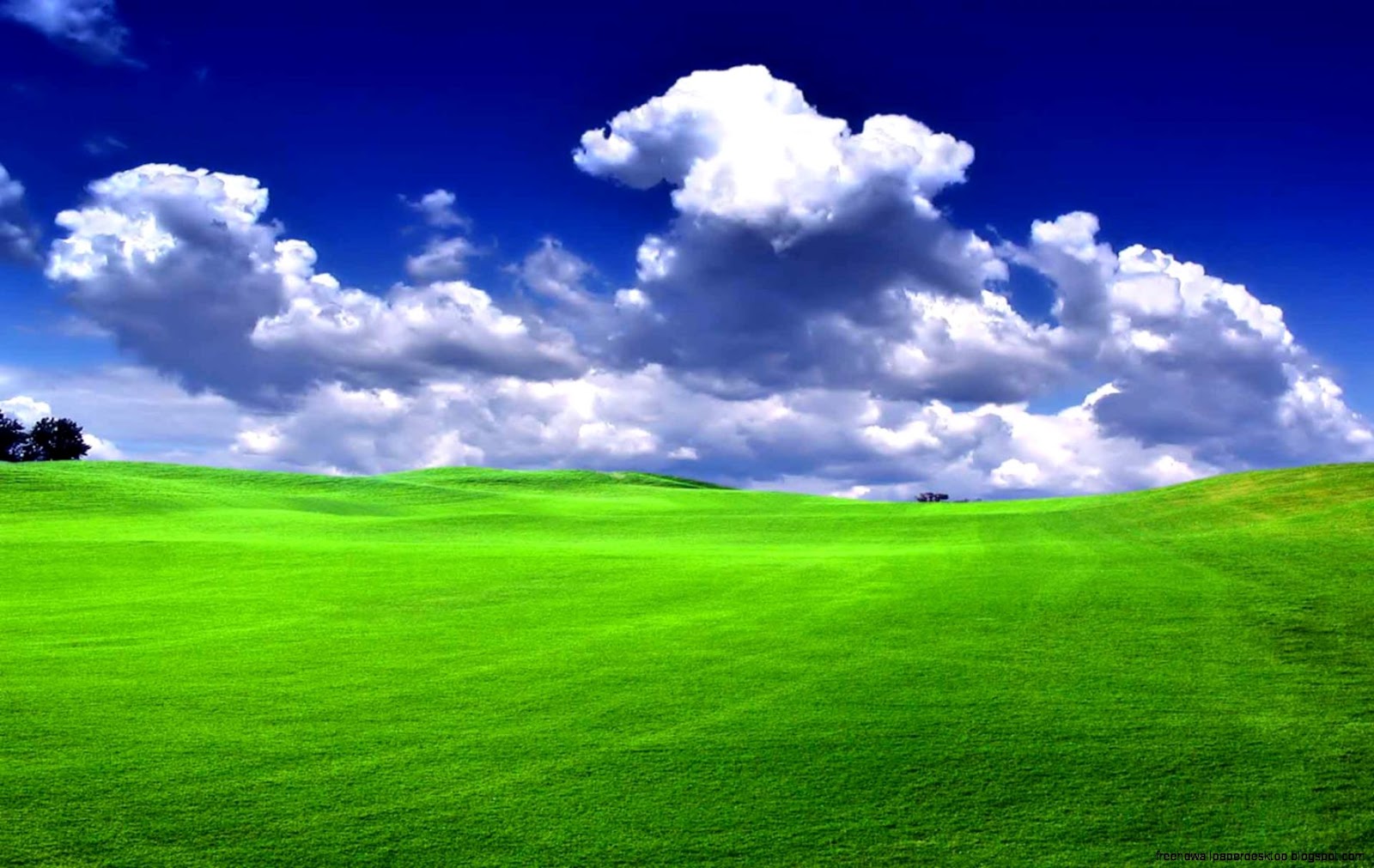 High Resolution Nature Desktop