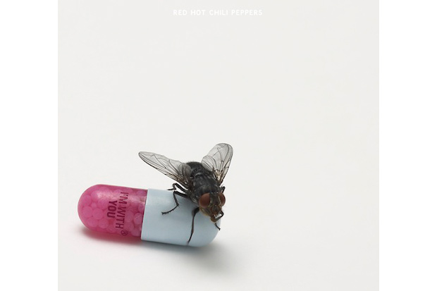 damien-hirst-red-hot-chili-peppers-im-with-you-album-artwork-1.jpg
