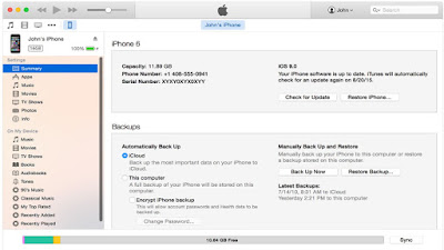 Downgrade iOS 10