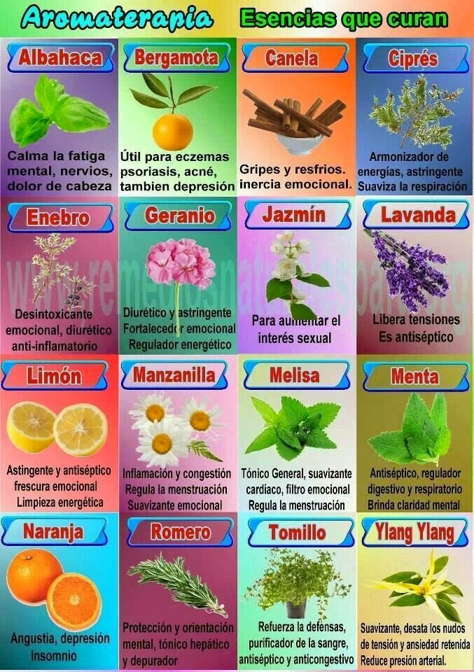 Esencias y Plantas que Curan Guerrero Espiritual
