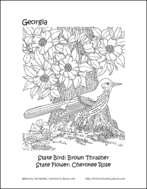 oklahoma state tree coloring pages - photo #30