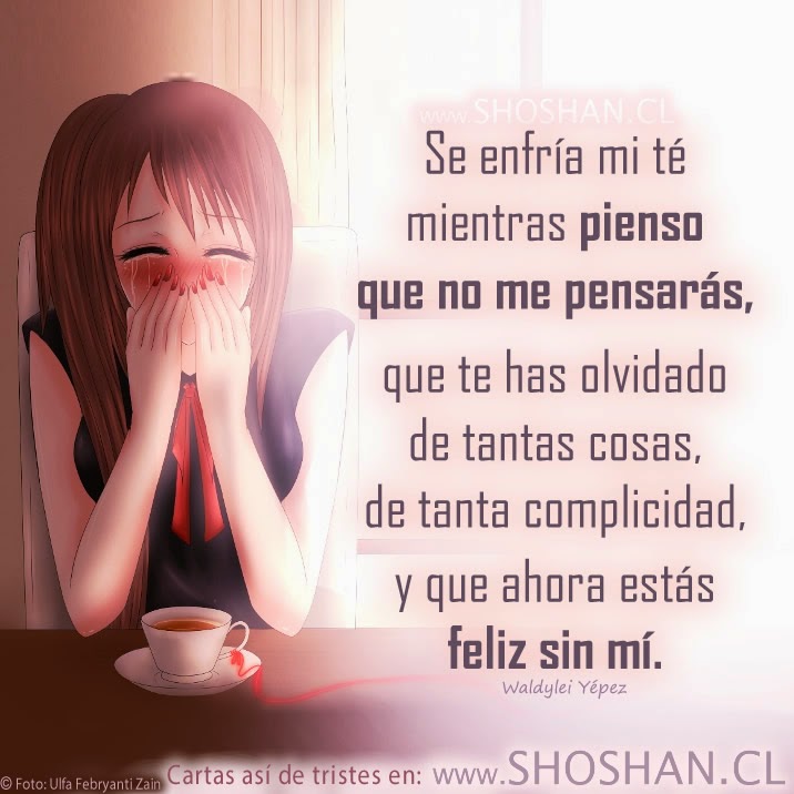 Ver las imágenes de origen