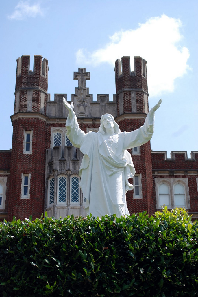 Weird, Wacky and Wild South