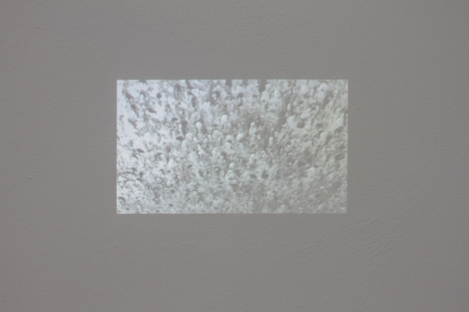 W.E.L.T.001–Apophenia