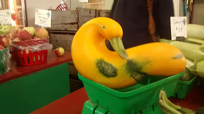 Un pato muy amarillon
