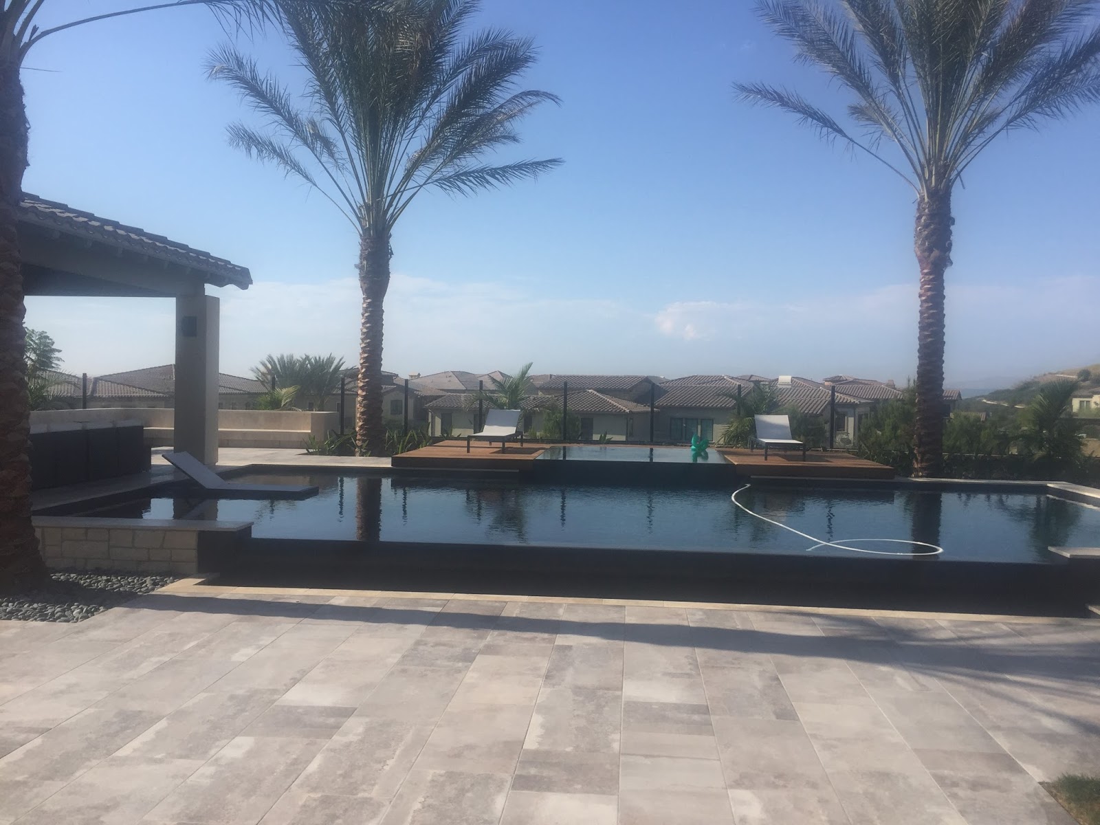 Gregory Palm Farms : LOOK AT OUR BEAUTIFUL PALMS AND INFINITY POOL IN ...