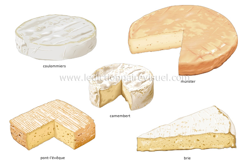 Le français pour tous Les différents types de fromages Le français pour tous Les différents types de fromages