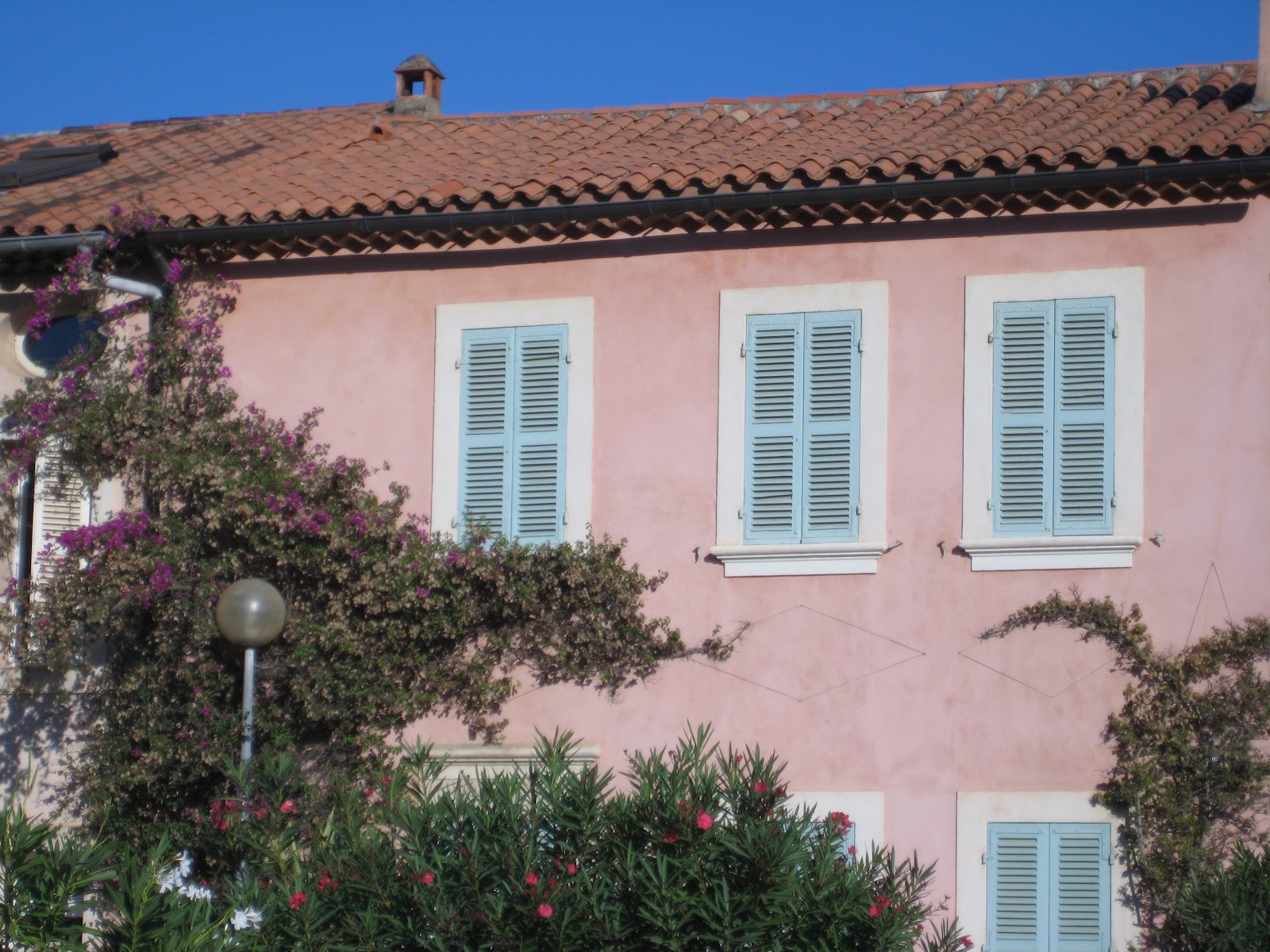 La Vie des Feins Iles des Porquerolles