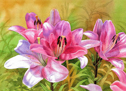 pink lilies painting watercolor lily flower flowers paintings kowalski watercolors lillies esperoart print etsy lilie krzysztof deviantart newton winsor horadam
