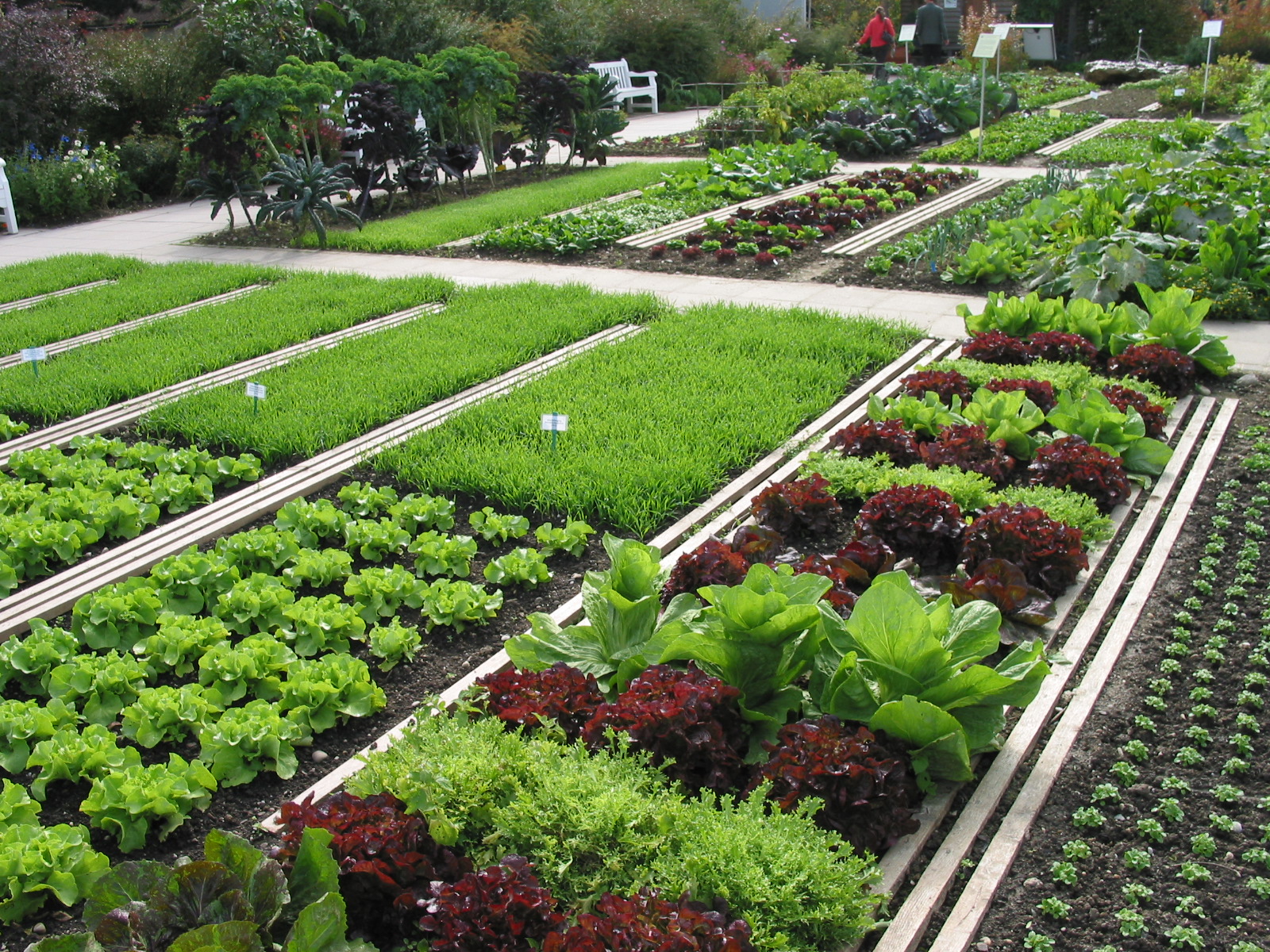 Noel's Garden Blog Weihenstephan German planty paradise