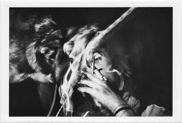 dirty photos - a - dark double exposure photo of smoking girl and dog