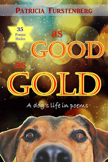 as good as gold book cover