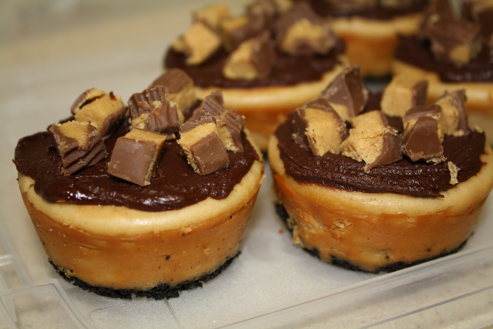 Ever So Sweet Chocolate Peanut Butter Mini Cheesecakes