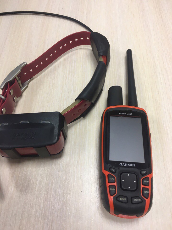 Навигатор астро 320 с ошейником т5. Гармин астра 320 с ошейником. Гармин астро 320 с ошейником т5. Гармин астро 320 с ошейником т5. Garmin astro 320 с ошейником т5.