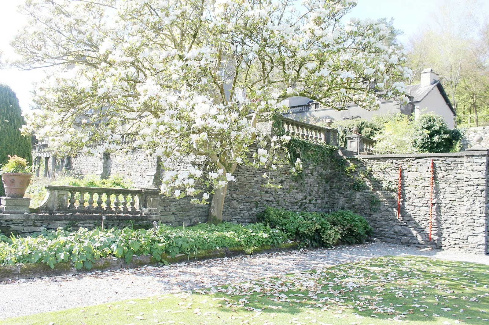 Rydal hall and gardens visit