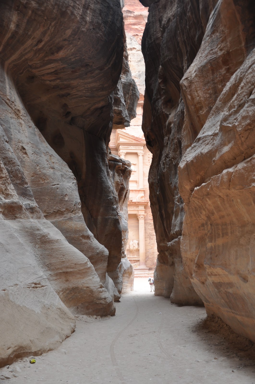 Travel Talk And Other Thoughts Petra A Rose red City Half As Old As Time