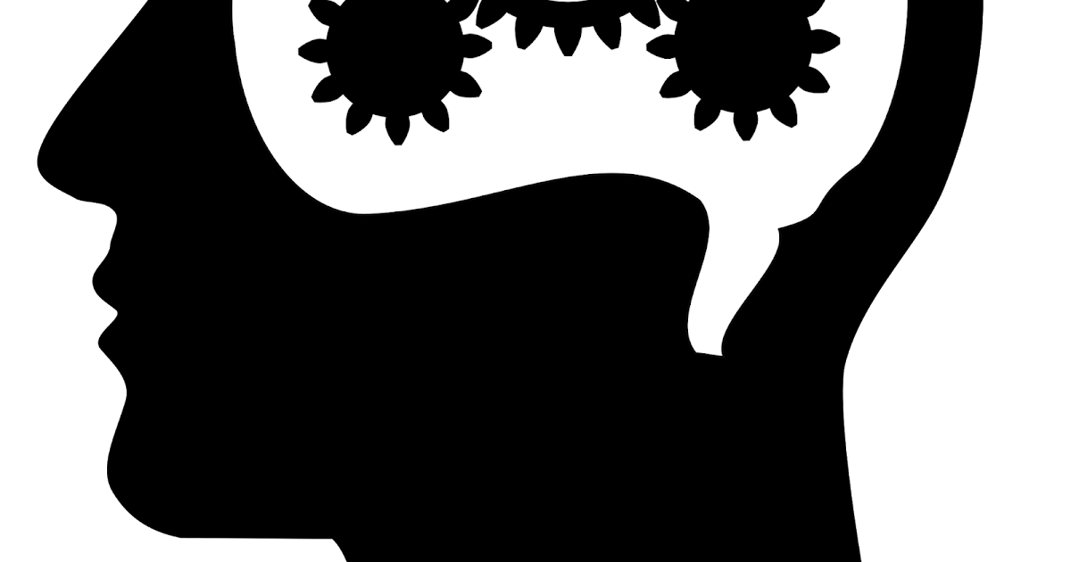 Spotlight Classrooms Get the Wheels in Motion