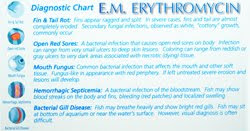 Aquarium Pharmaceuticals Erythromycin Diagnostic Chart