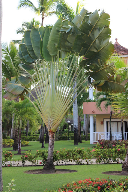 Grand Bahia Principe Bavaro Punta Cana