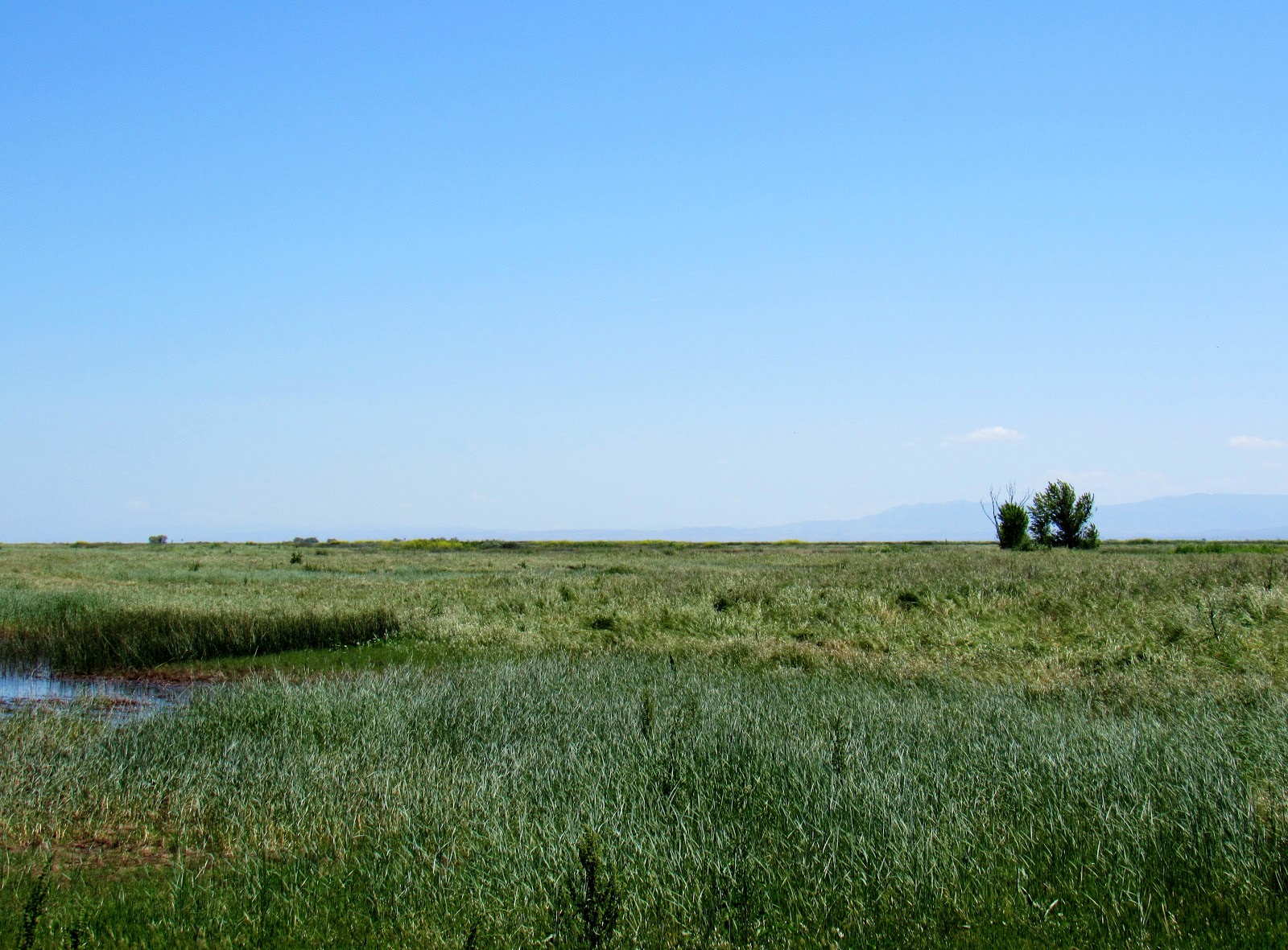 Natural History Journal California's Ecosystems