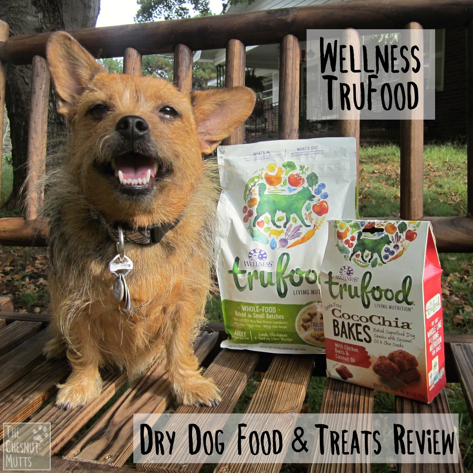wellness trufood puppy