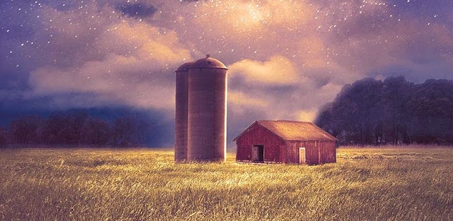 Intruso | Isolamento e paranoia no novo thriller psicológico de Iain Reid 