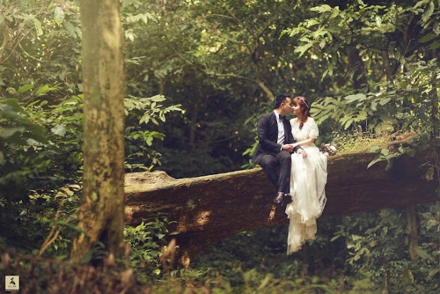 Ảnh cưới trong rừng lãng mạn đến ngộp thở