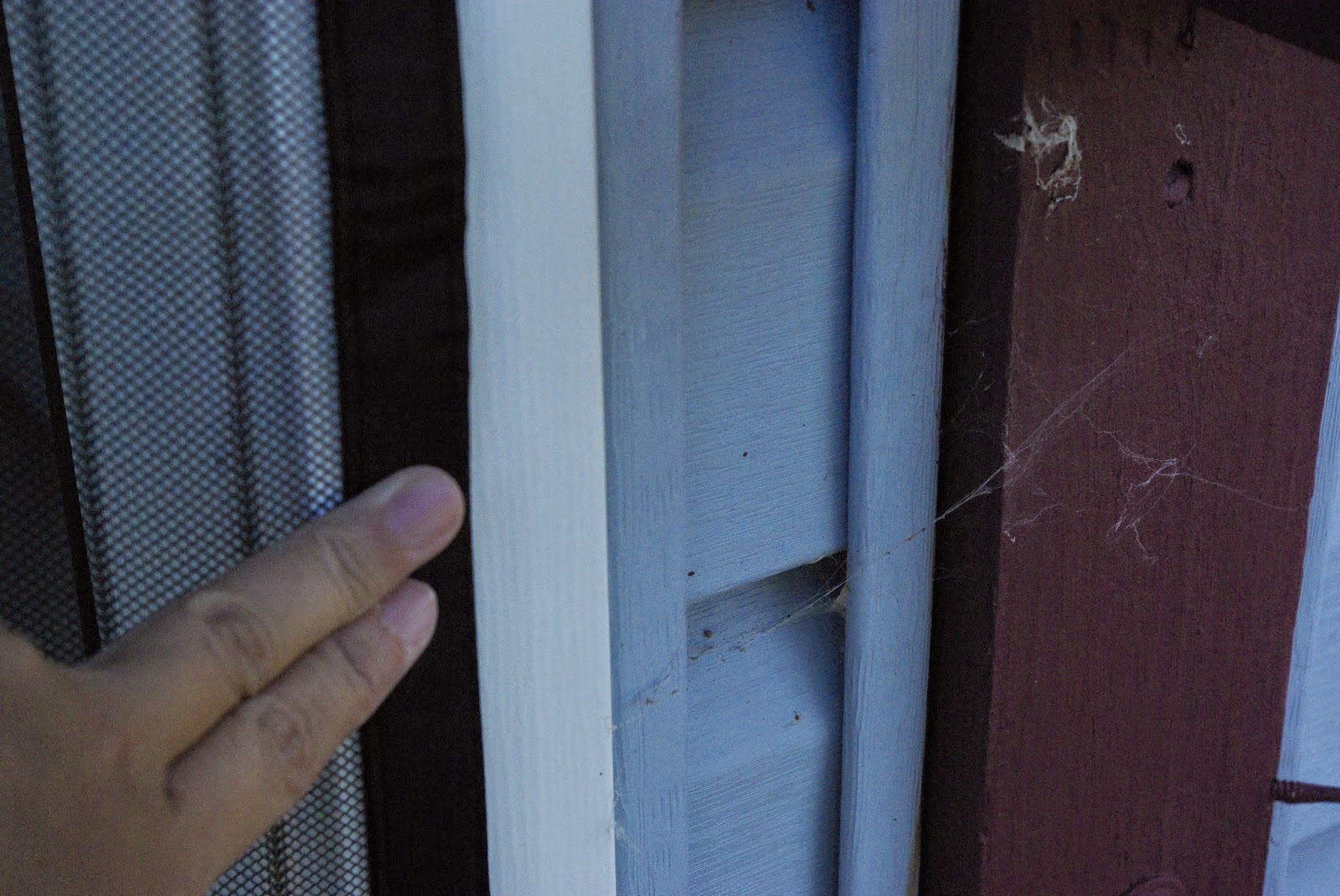 Mom's Tried and Tested How To Keep Those Bugs Away!