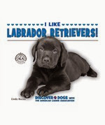 http://www.amazon.com/Labrador-Retrievers-Discover-American-Association/dp/1464401209/ref=sr_1_13?ie=UTF8&qid=1389735352&sr=8-13&keywords=linda+bozzo