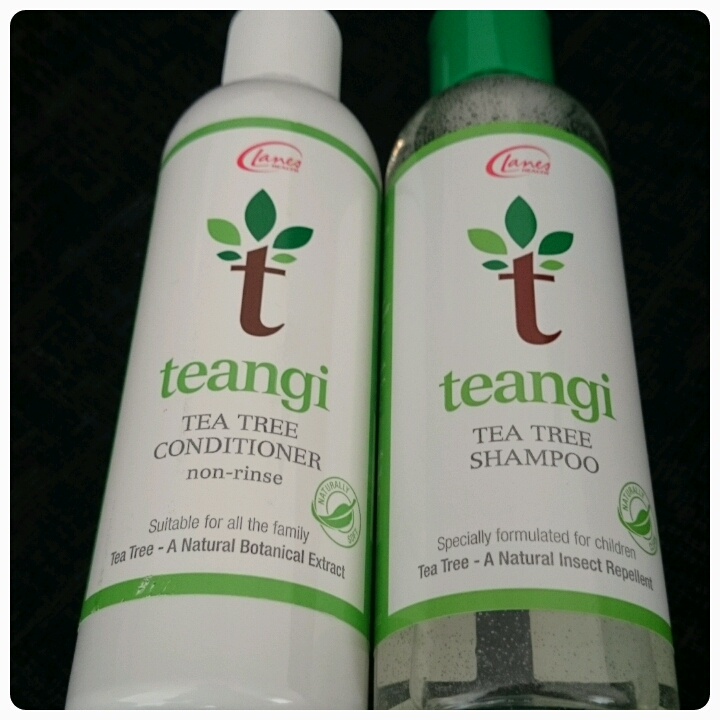 Brewtiful Fiction Teangi Shampoo and Conditioner Review
