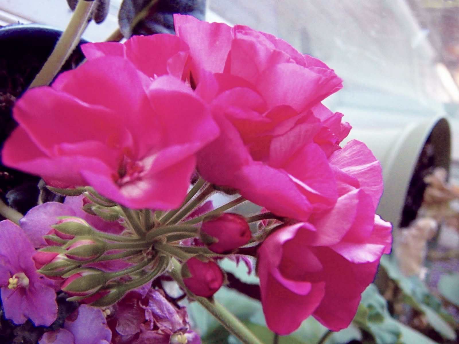 Posted by Jennifer at 837 AM