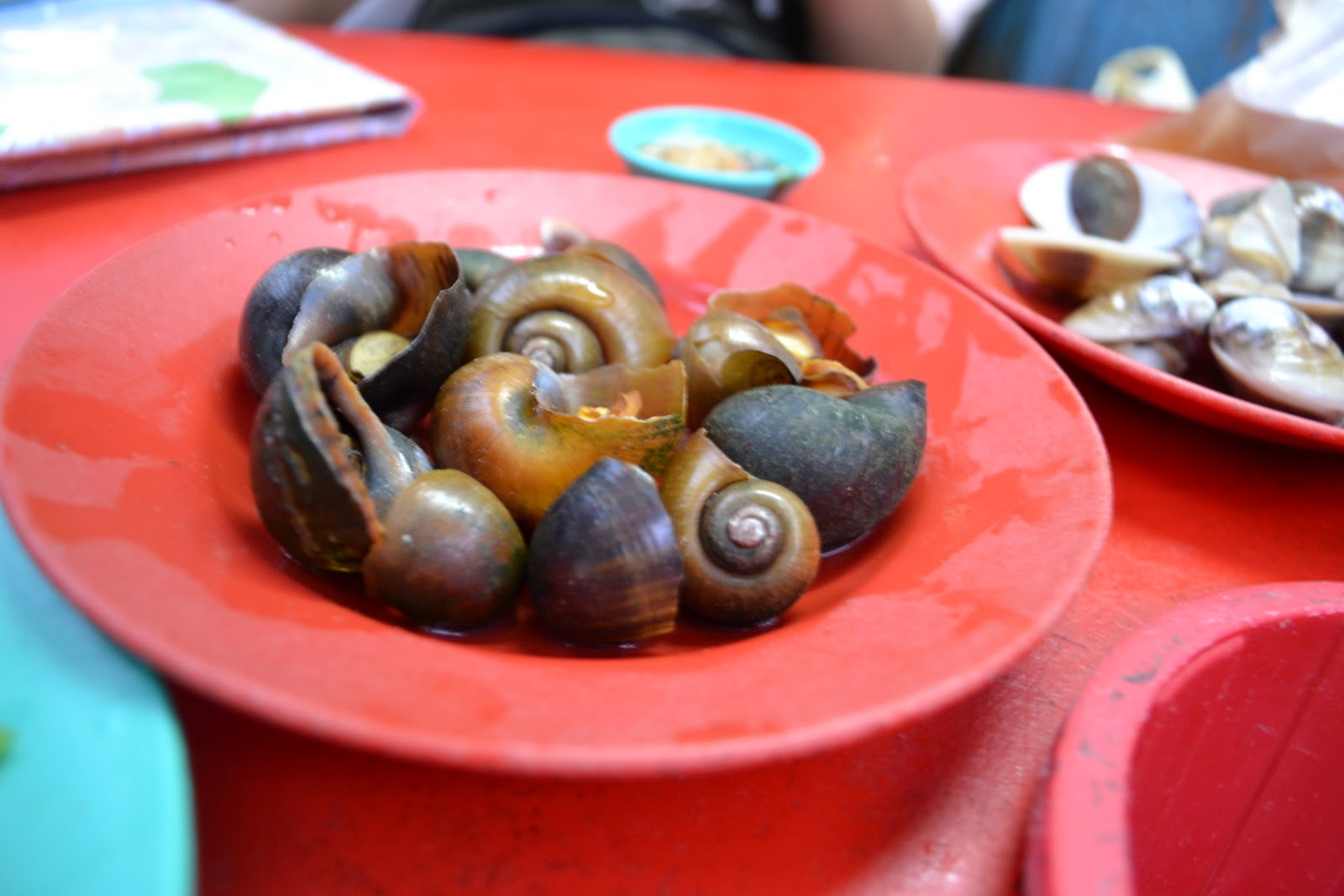 CareeningLife Malacca 5 Cockles and Fried Oyster Jalan Bunga Raya