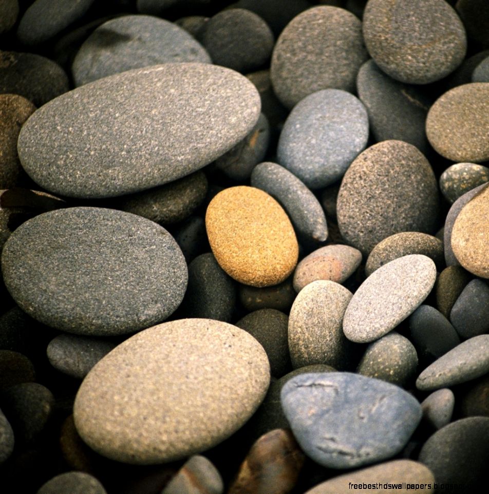 Beach Pebbles  Stone shapes  Pinterest