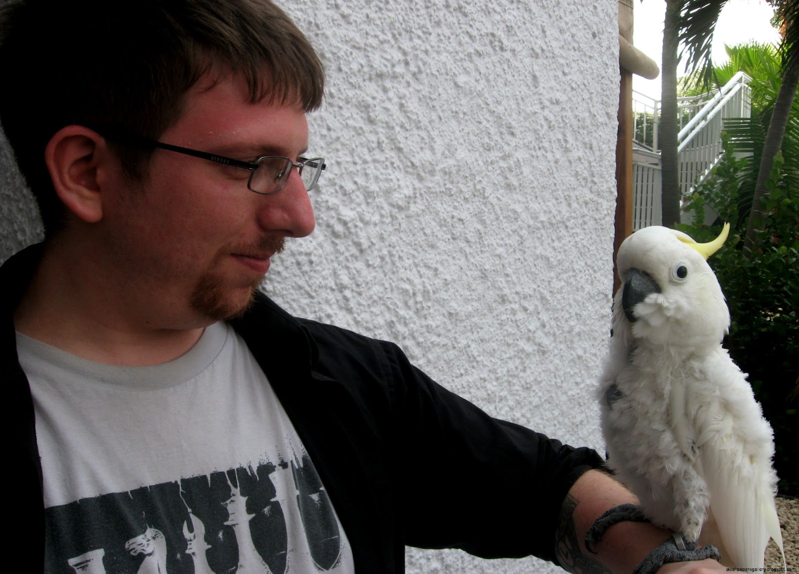 The last night in Aruba we had a big poolside party dinner with an