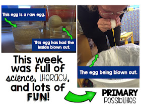 Primary Possibilities: Fun with Eggs (Egg Experiments)