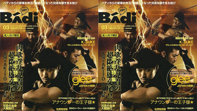 Disc BAdi 2011 № 3