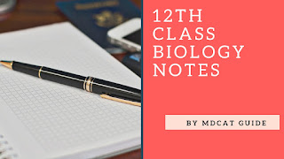 2nd year biology notes