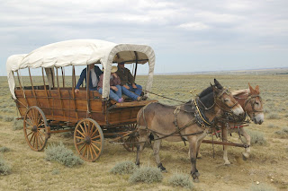 Covered+wagon+and+mules.jpg
