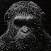 Premier teaser trailer pour War For The Planet of The Apes de Matt Reeves